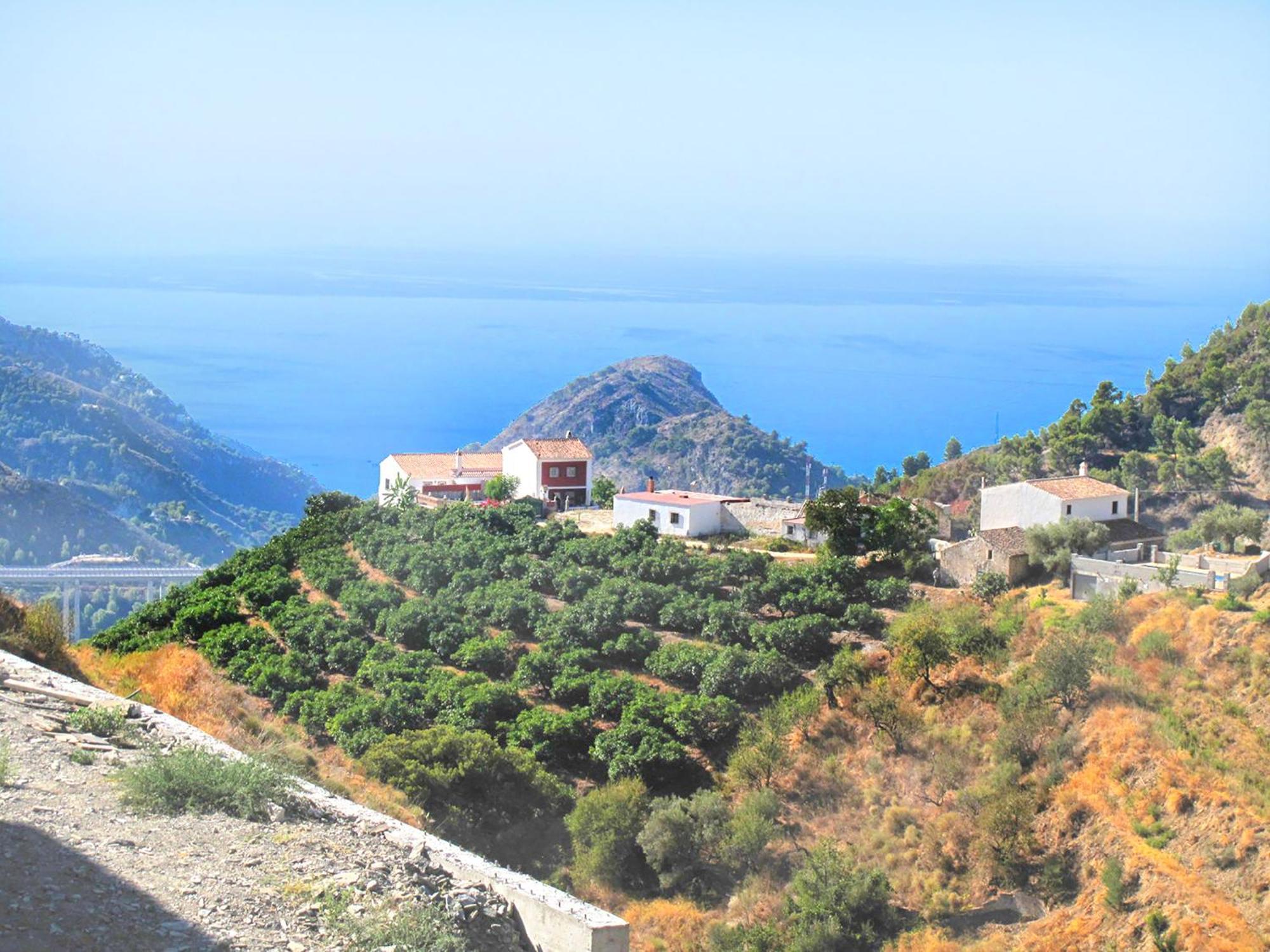 Villa Francisca Malaga Luaran gambar